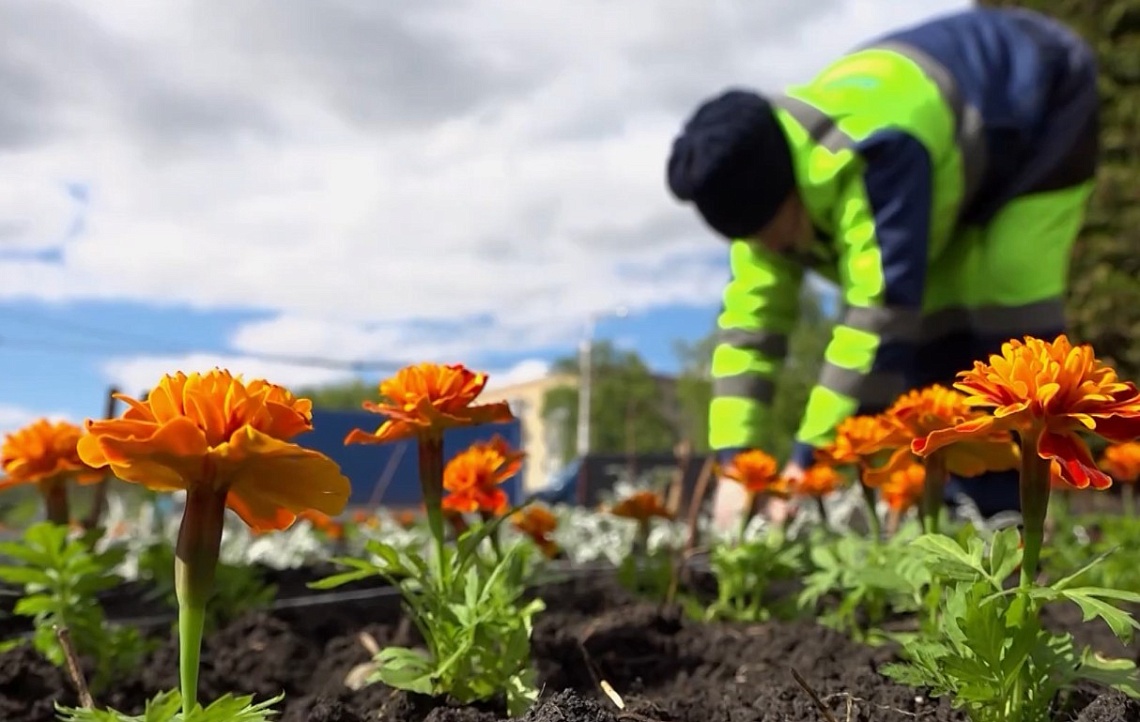 В Пензе приступили к масштабному озеленению города